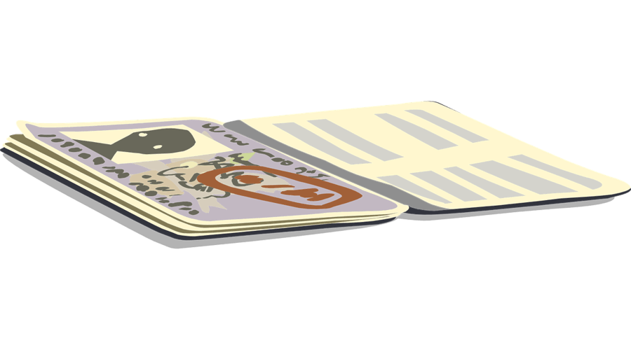 Pasaport Başvurusu Nasıl Yapılır? Pasaport 